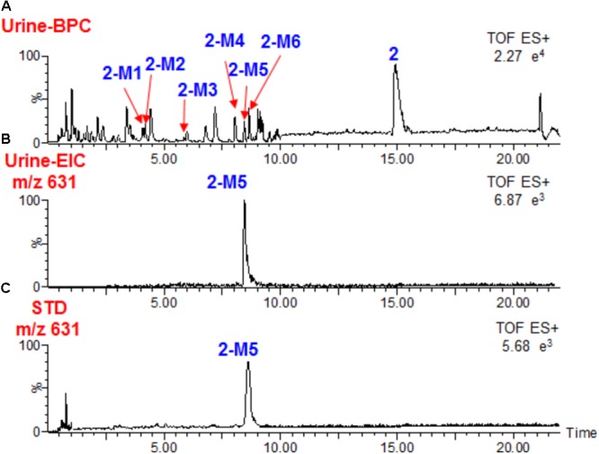 FIGURE 2