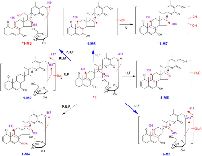 SCHEME 1