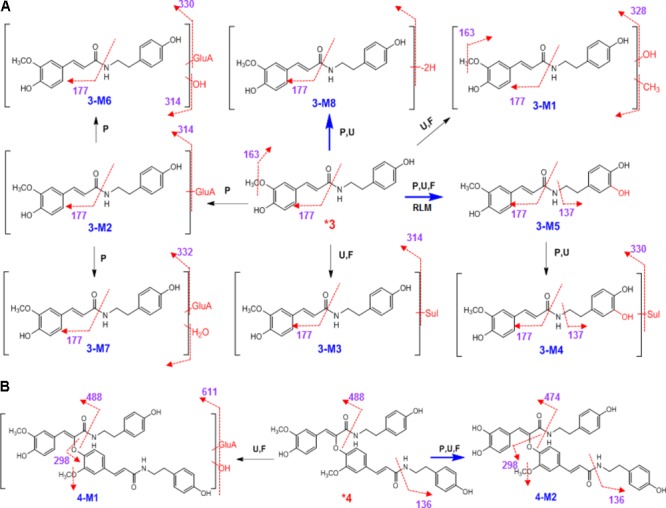 SCHEME 3