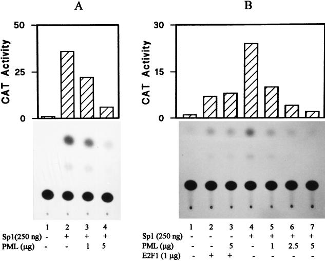 FIG. 8