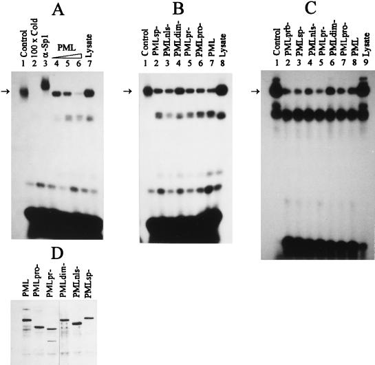FIG. 7