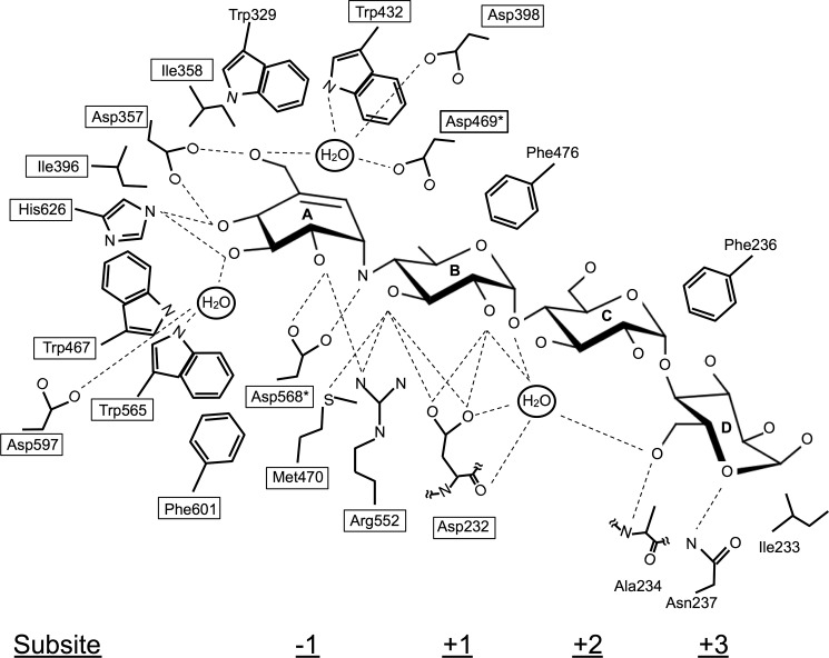 FIGURE 3.