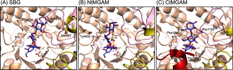 FIGURE 4.