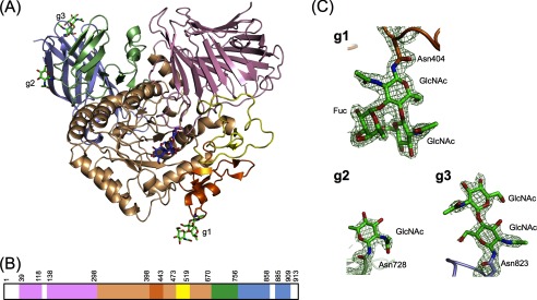 FIGURE 1.