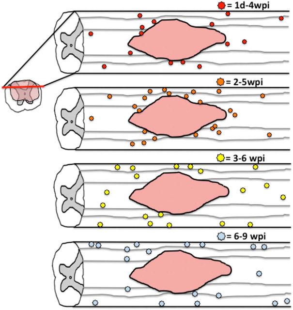 Figure 12.