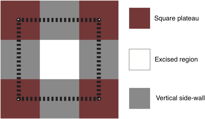 Fig. S4.