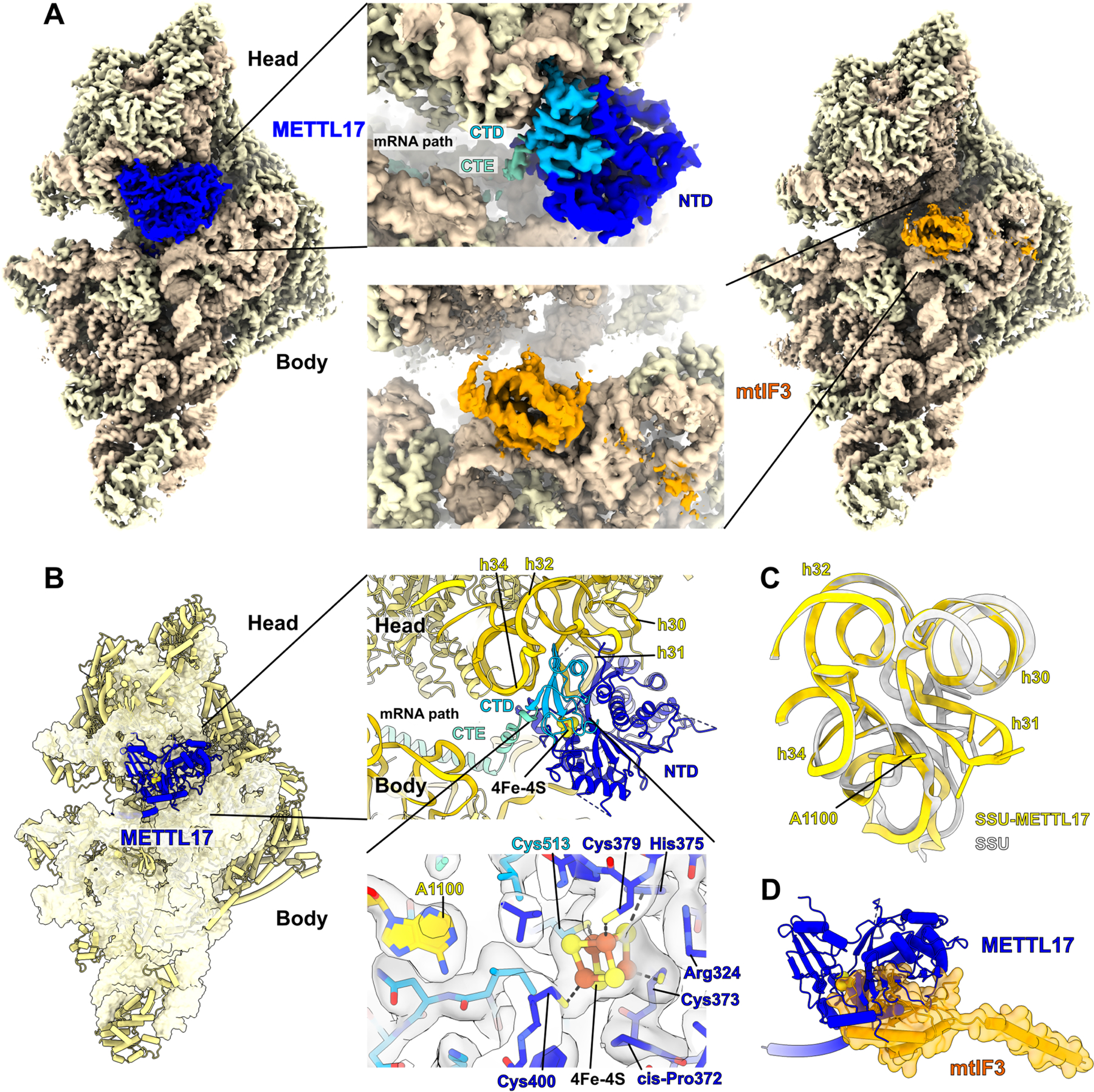 Fig 6: