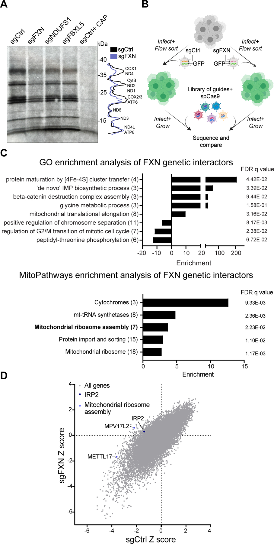 Fig 2: