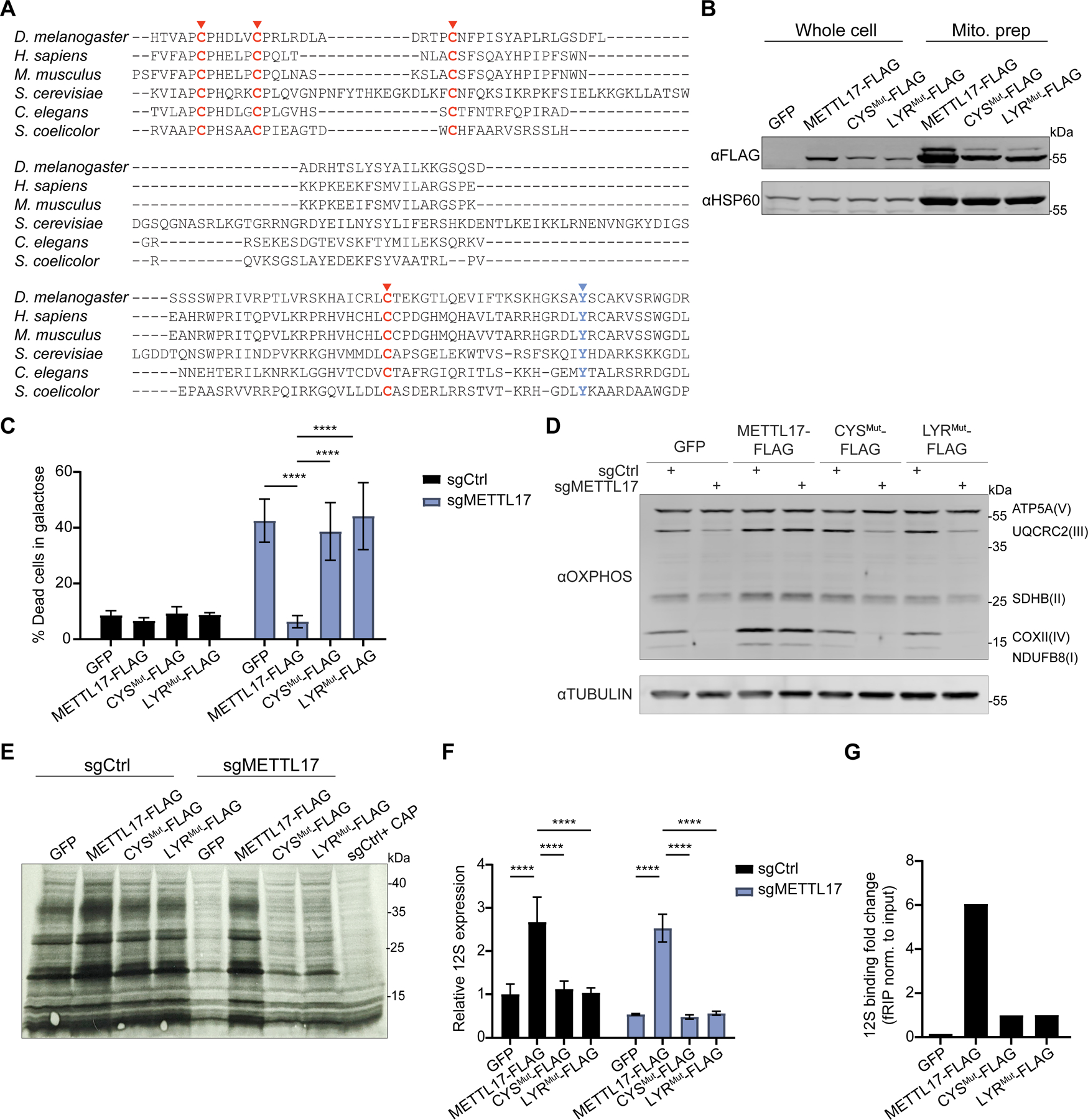 Fig 4: