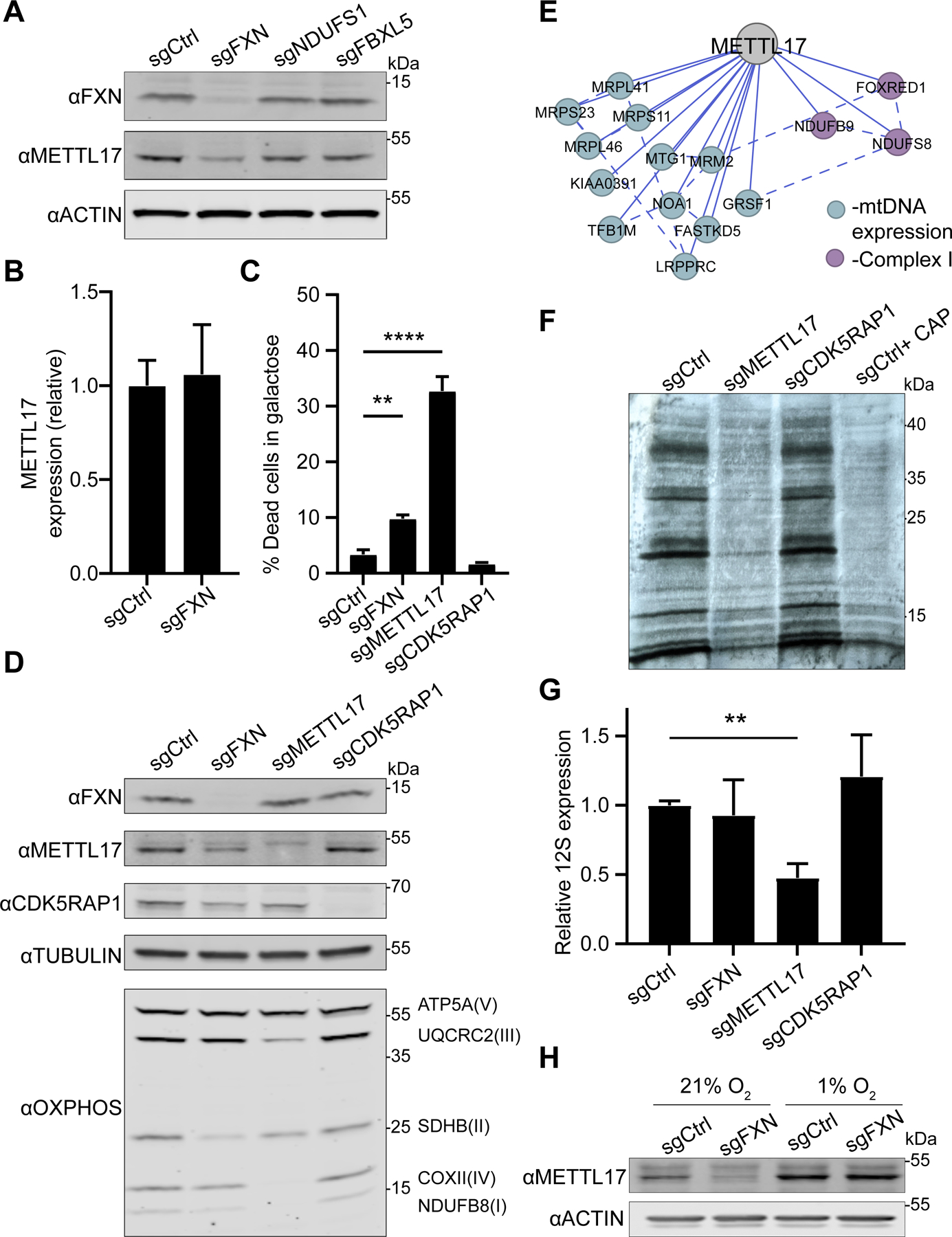 Fig 3: