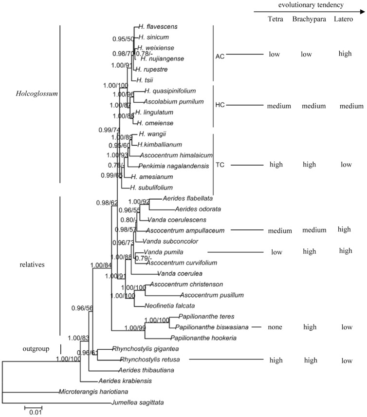 Figure 10