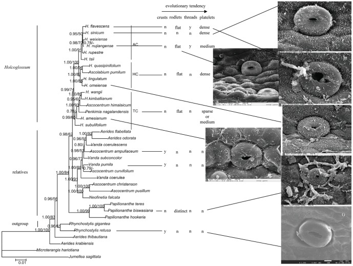 Figure 11