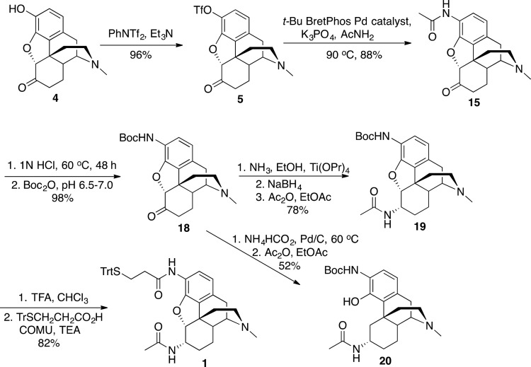 Scheme 4