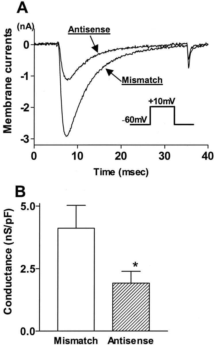 Fig. 5.