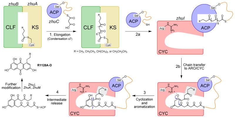 Figure 10