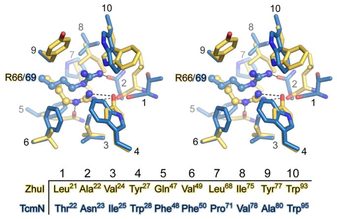 Figure 9