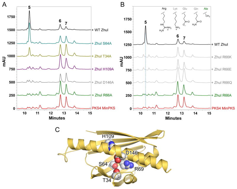 Figure 7