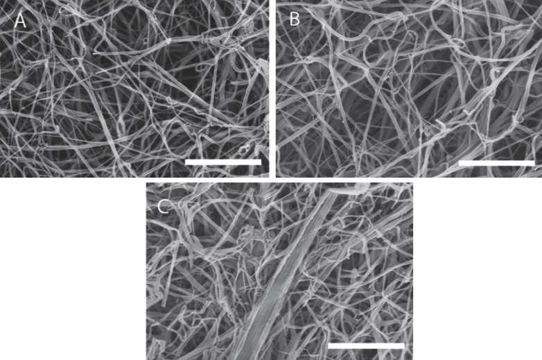 Fig.7