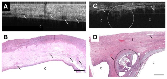 Fig. 27