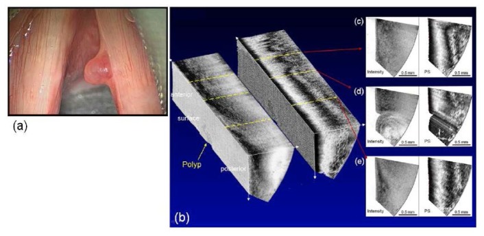 Fig. 28