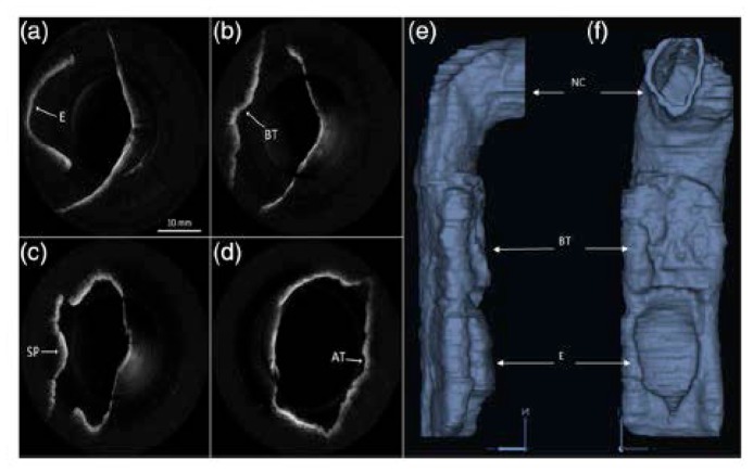 Fig. 29