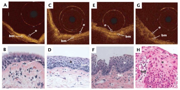 Fig. 20