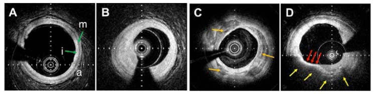 Fig. 8