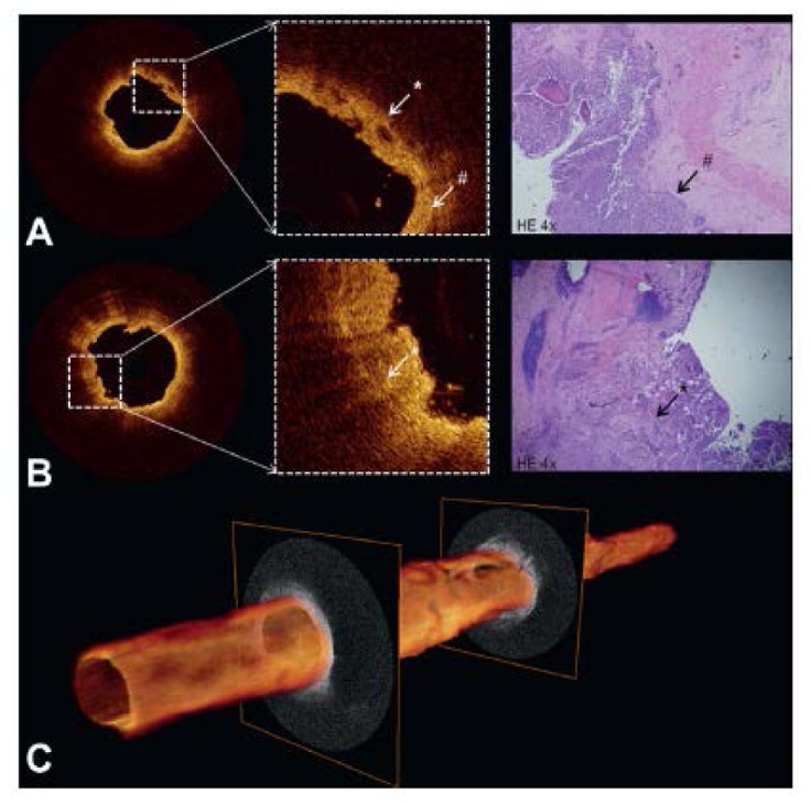 Fig. 25