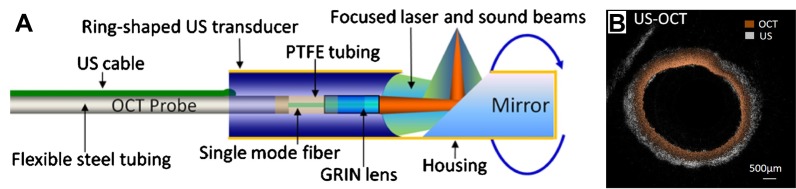 Fig. 7