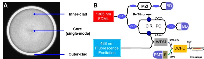 Fig. 6