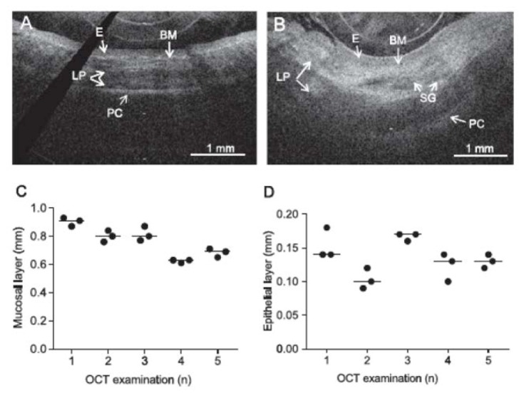 Fig. 31