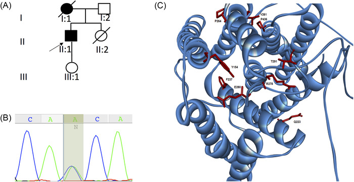 FIGURE 1