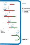 Fig. 6.