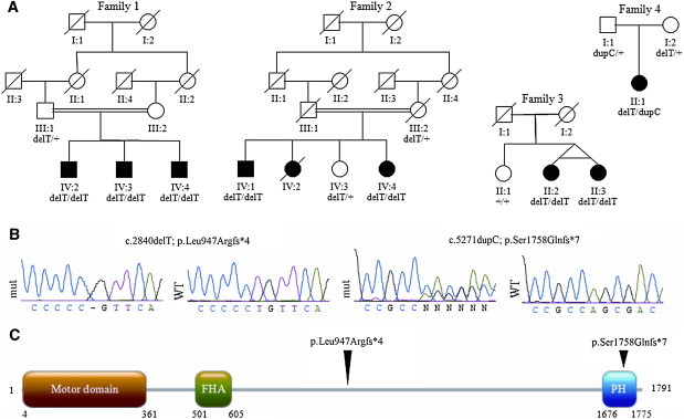 Figure 4