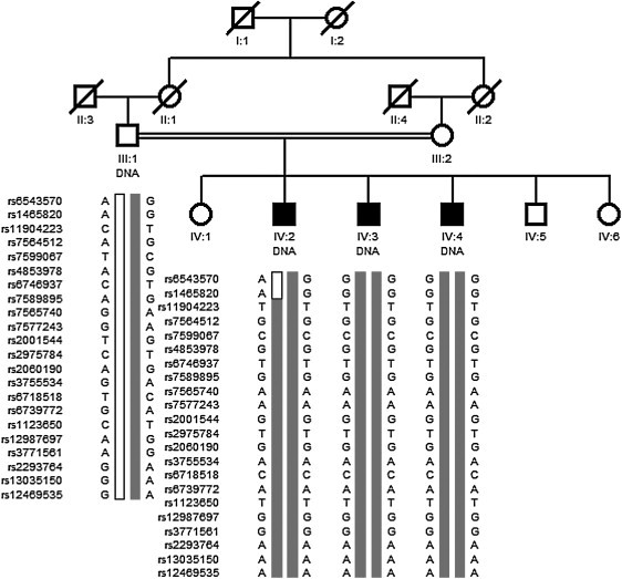 Figure 3