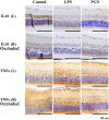 Supplementary Fig. 4