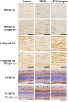 Supplementary Fig. 6