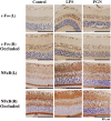 Supplementary Fig. 3