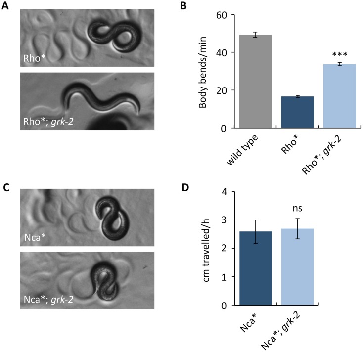 Fig 5