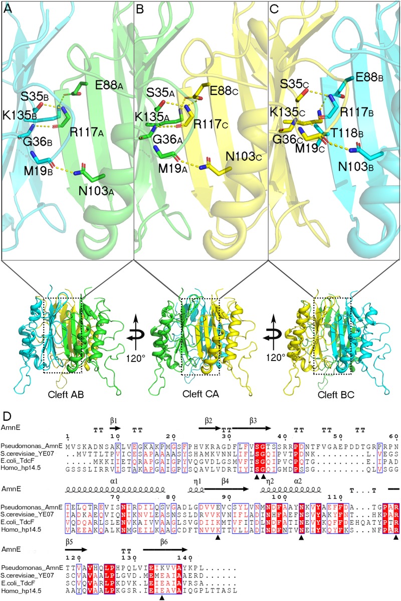 FIGURE 3