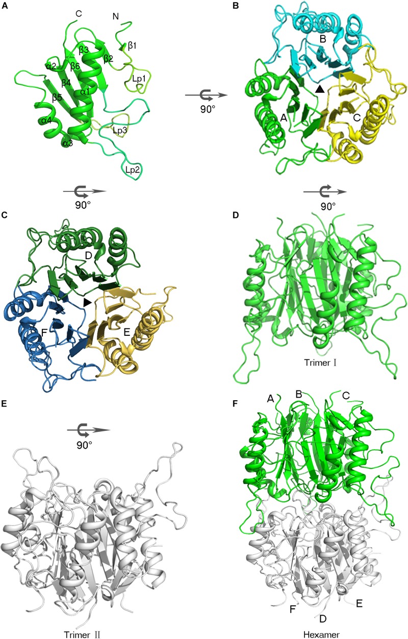 FIGURE 2