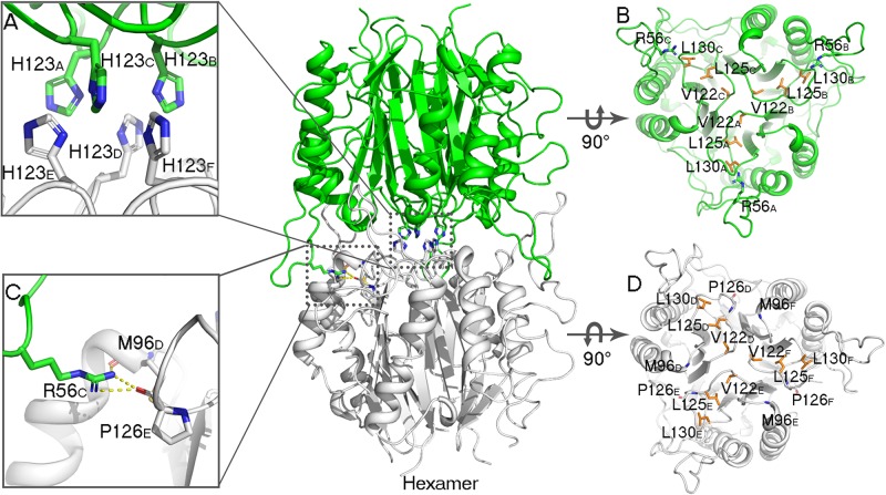 FIGURE 4