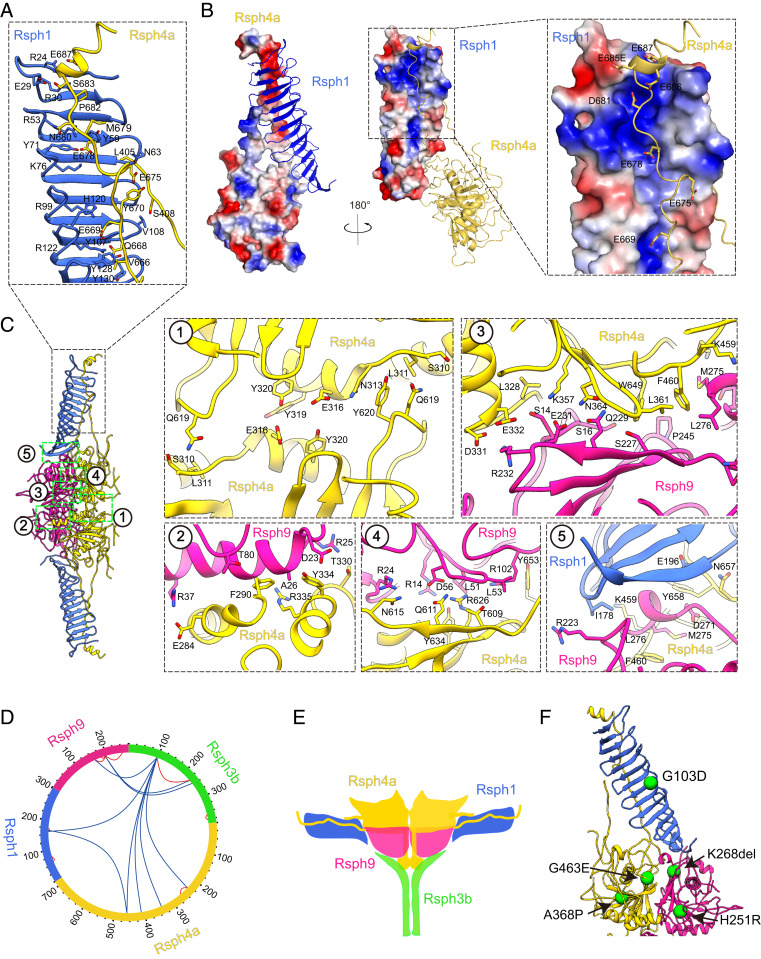 Fig. 4.