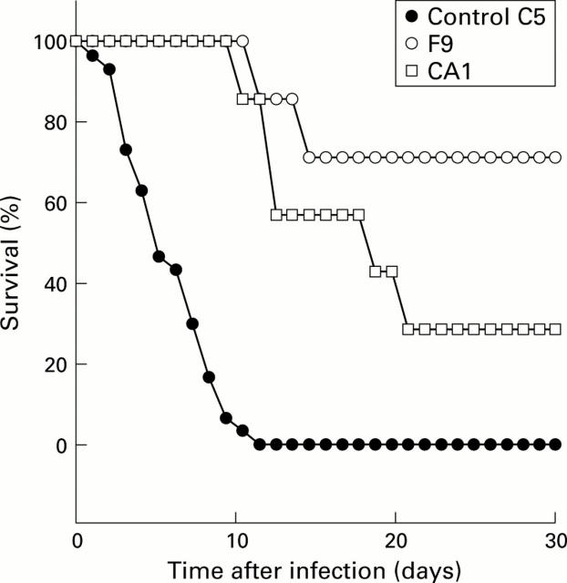 Figure 1  