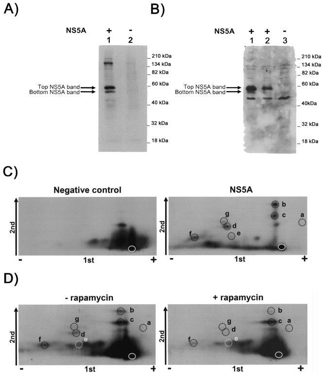 FIG. 6.