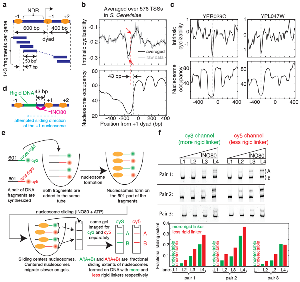 Figure 2: