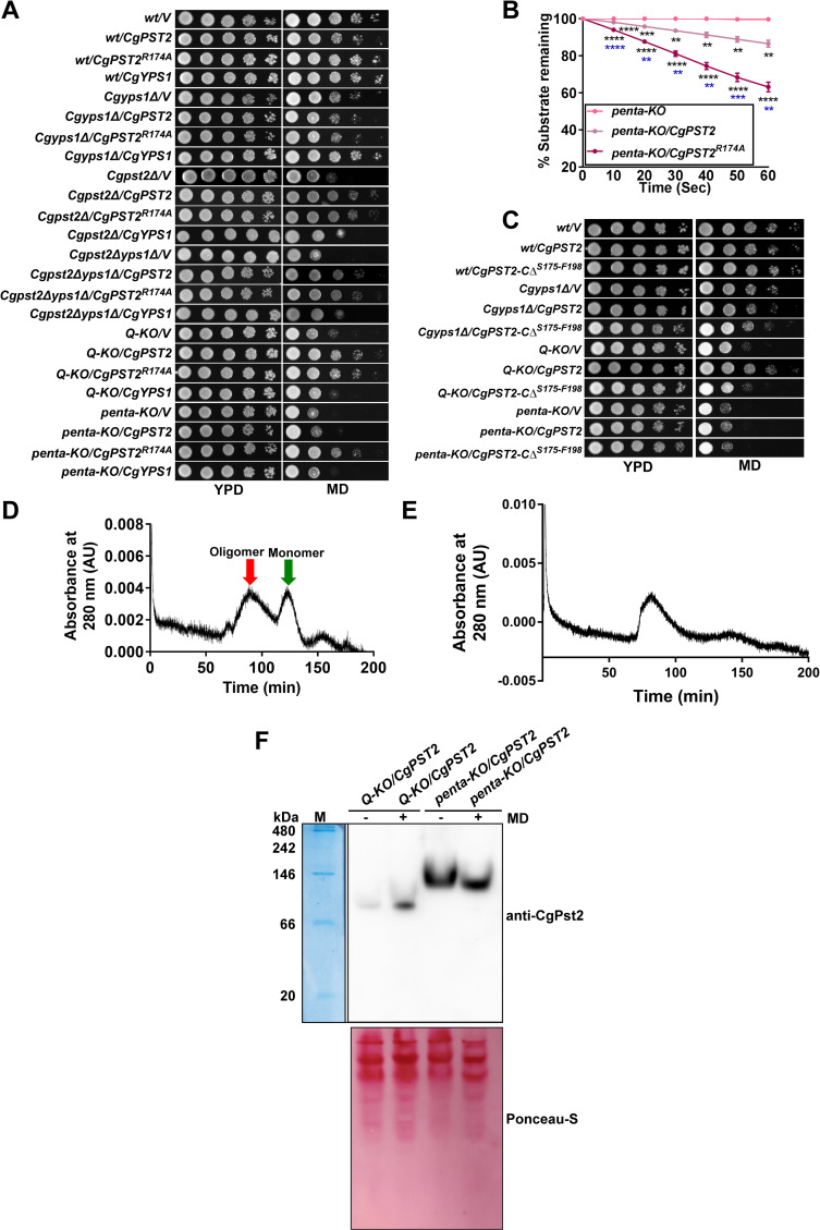 Fig 6