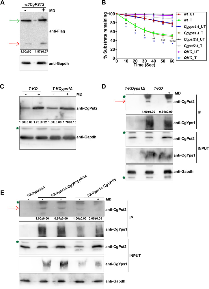 Fig 4