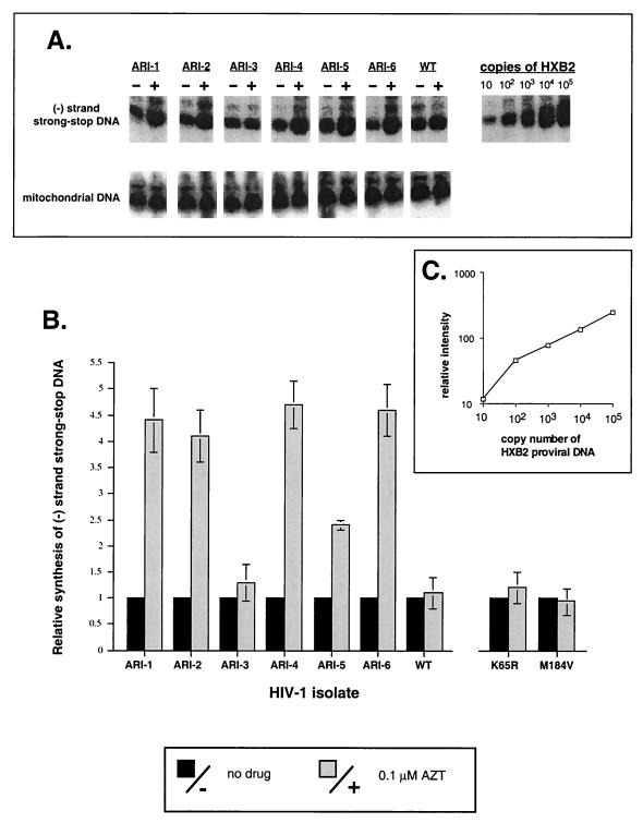 FIG. 1