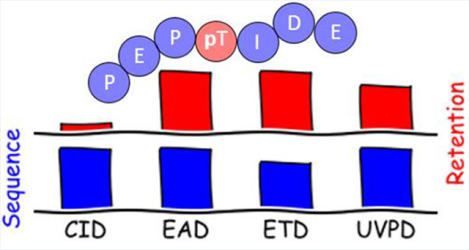 graphic file with name nihms-2020685-f0001.jpg